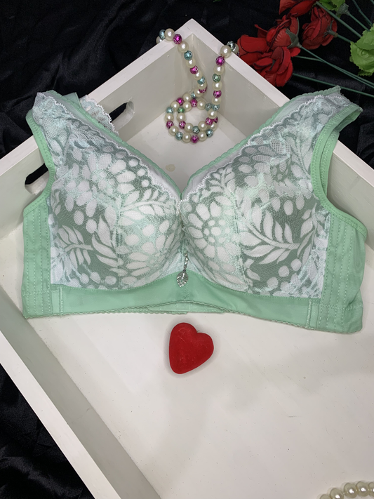 Crimson Mesh Padded Shape Bra